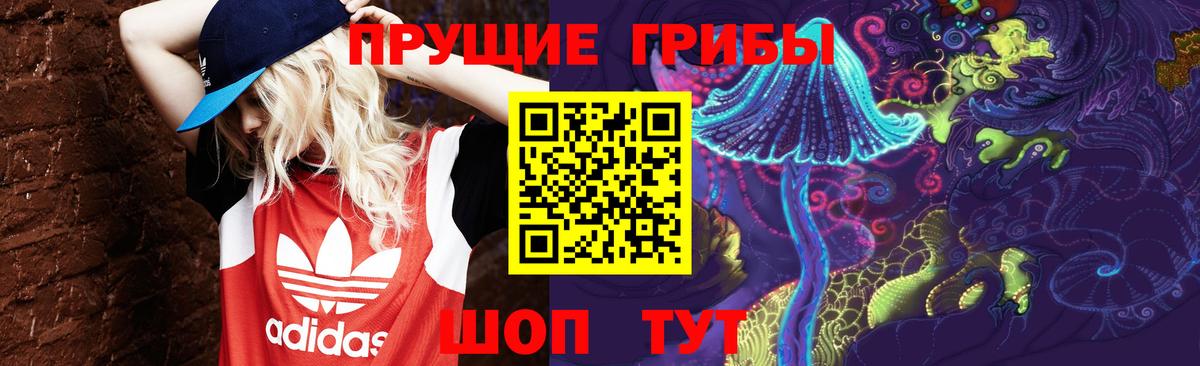 Псилоцибиновые грибы ЛСД  Псилоцибиновые грибы MAGIC MUSHROOMS  Вход с VPN  Кстово 